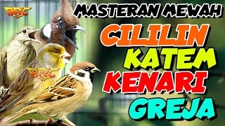 Download lagu CILILIN - KAPAS TEMBAK - GREJA TARUNG - KENARI | MASTERAN AUDIO SUPER JERNIH mp3 Download lagu CILILIN - KAPAS TEMBAK - GREJA TARUNG - KENARI | MASTERAN AUDIO SUPER JERNIH mp3