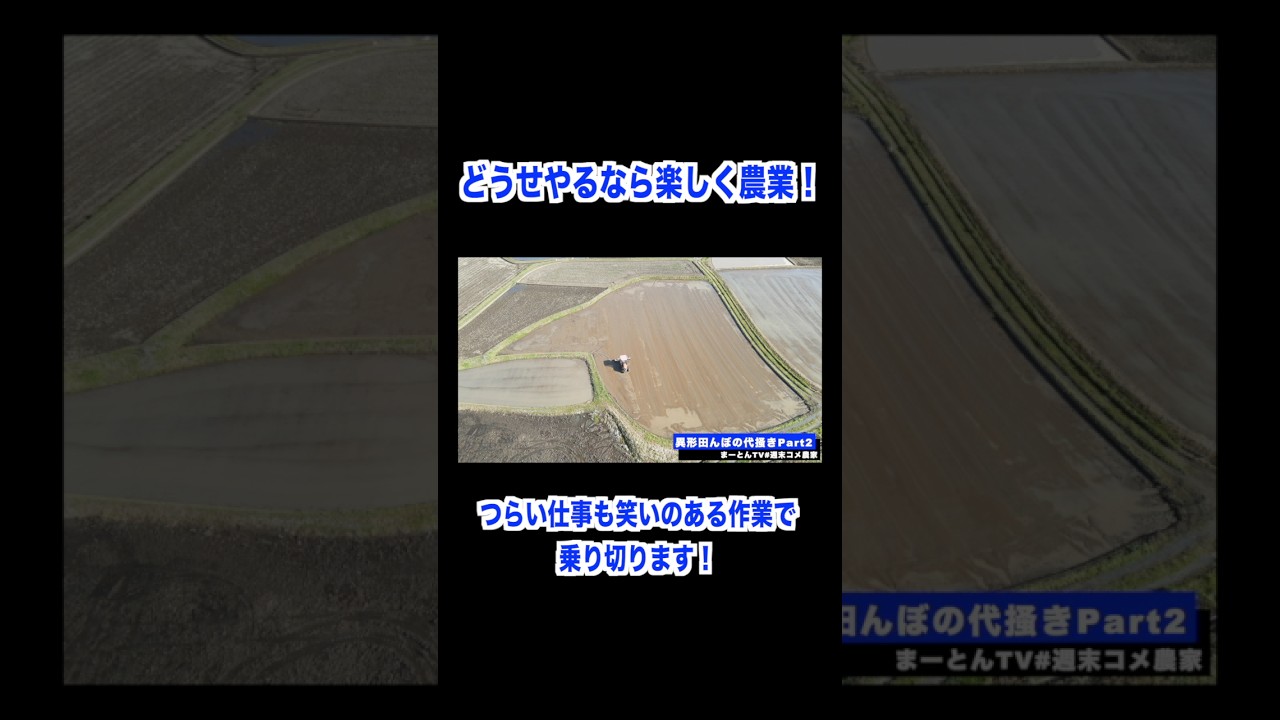 お米作り総集編 #農業 #兼業農家 #お米作り #トラクター #コンバイン