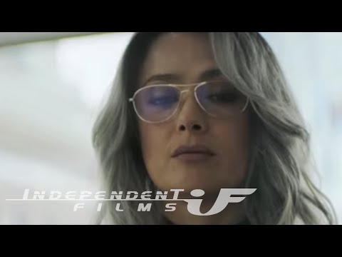 The Hummingbird Project