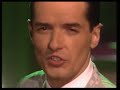 Falco   Junge Roemer