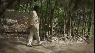 IF I TOLD YOU THE TRUTH