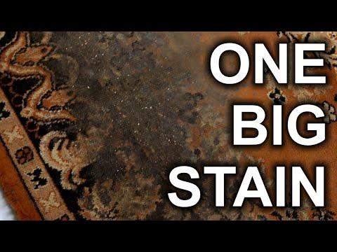 Reinigung von über 30 Jahren ungewaschenem Teppich: Es war EIN GROßER FLECK!