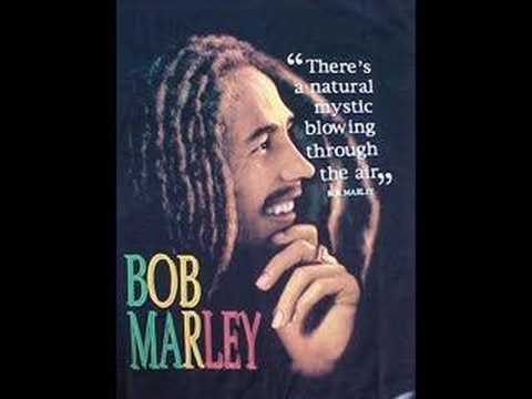 Provokal Feat. Bob Marley - True Love