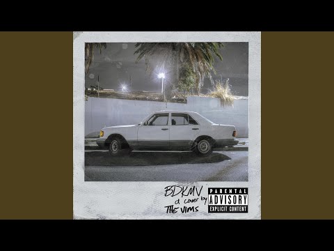 Bitch, Don't Kill My Vibe