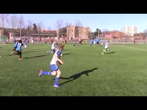 Serie 2017 - NIF(2) 7 - Grei 9