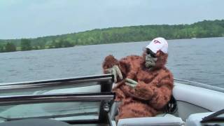 preview picture of video 'Sasquatch'