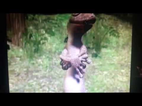 Drinking out of cups