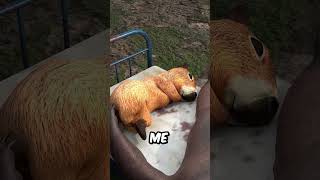 SUEÑO RARO DE CAPIBARA el MEME más RANDOM del MUNDO