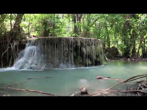 Opwekking 497 Ik wil leven door uw Geest