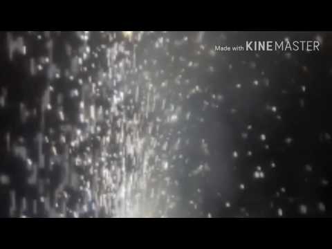 Sami Hashmi  Birthday calibration in Biryani of the seas