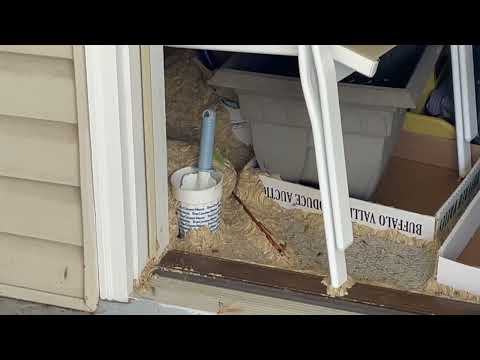 Yellow Jackets Take Over Balcony Closet in South Plainfiield, NJ
