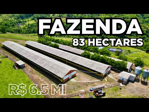 FAZENDA EM SANTA CATARINA 83 HECTARES PARA PECUÁRIA E CHIQUEIRÃO R$6.5MI