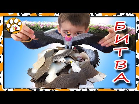 БИТВА ЯСТРЕБЫ и ко деагостини ( Часть1)