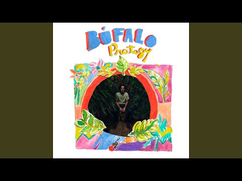 Búfalo - Pratagy