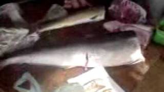 preview picture of video 'Fish market in Sri lanka'