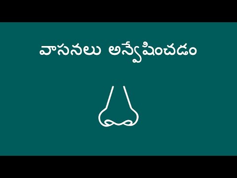 వాసనలు అన్వేషించడం - Exploring Smells (Telugu)