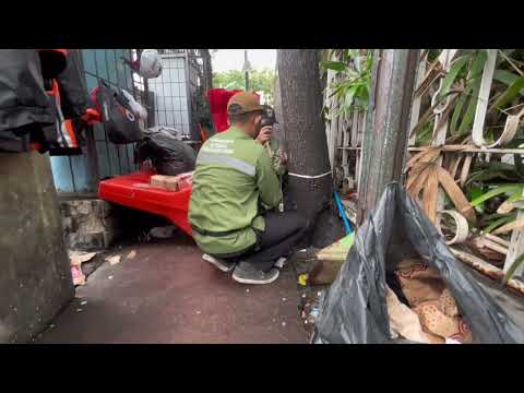 Proses pengecekan Kesehatan Pohon dengan Alat Arbosonic