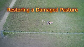 How to restore damaged pasture techniques