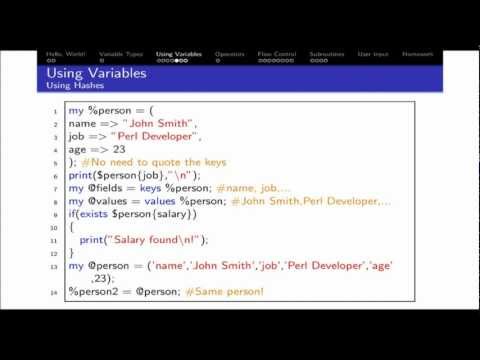 VLSI Academy:  A PERL Crash Course (Session 1 - Part 2)