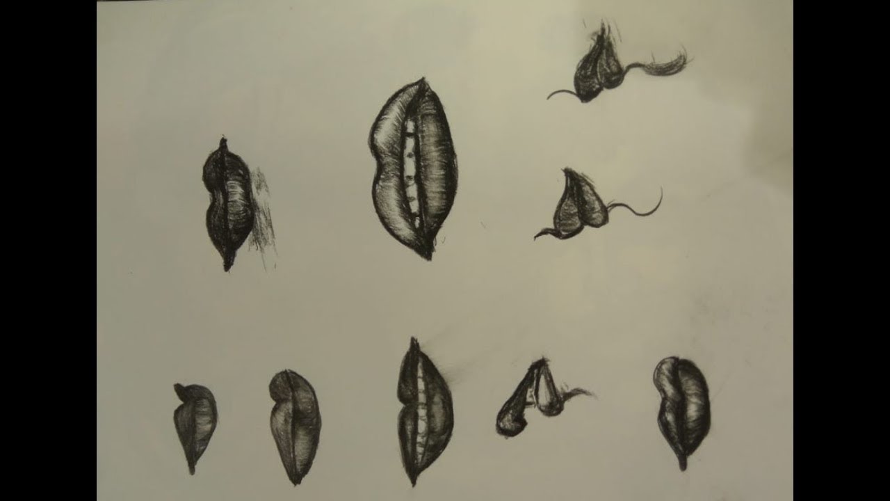 How to Draw Different kinds of lips(SKETCH) LEARN2DRaW