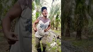 Download lagu #popular #musikhiburan #musiklucu #dangdut #hiburansegar #remix #musikterbaru #duet #alanwalker mp3