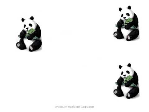 SUBITIZACION  ESTIMACIONES 1 2 3 4 ANIMALES