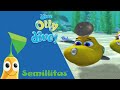Olly Asustado Olly El Submarino Semillitas TV
