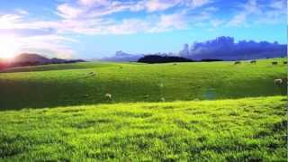 Mothers Day (Psalm 23 Bobby Mcferrin)