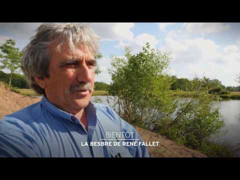 La Besbre de René Fallet