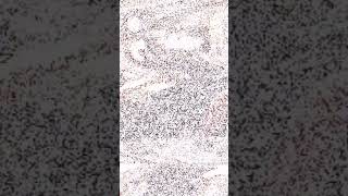 gullu gozlerin indir gullu gozlerin mp3 indir gullu gozlerin indir gullu gozlerin mp3 indir