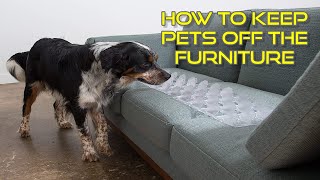 How to Keep Pets off the Furniture? How to Keep Pets off Furniture?