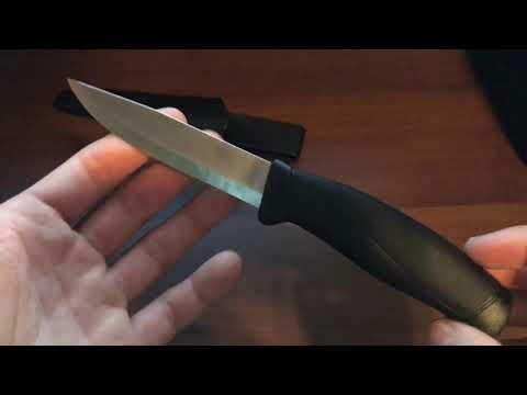 Mora companion review!