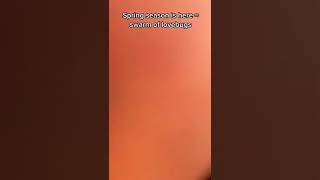 Swarm of lovebugs are here. #SpringSeason