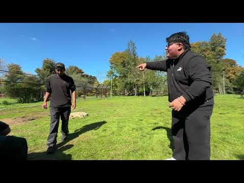 ADE Fecha #06 / BPLD / Temp. 24-25/ SemiFinal / JP Vs Ashu (06/10/2024)