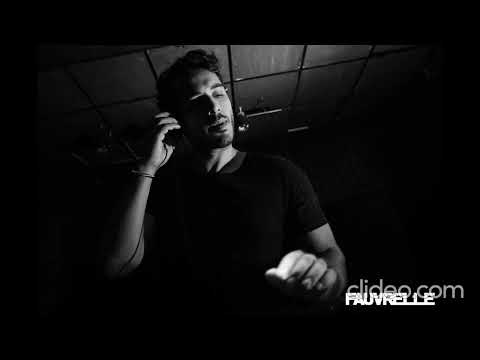 Fauvrelle - Best Of Selected House Works by Fauvrelle (2011-2020)