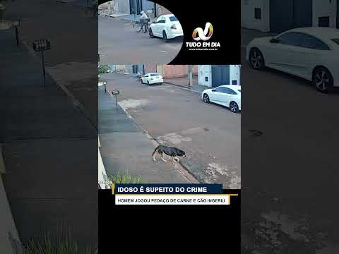 Cão morre por suspeita de envenenamento em Capinópolis