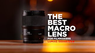 Best Macro Lens? - Lumix S 100mm Macro Review