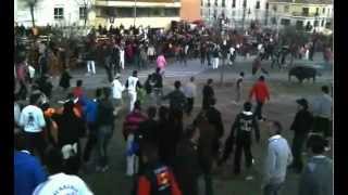 preview picture of video 'TOROS, COGIDA, ciudad rodrigo 2012 carnaval del toro cogida revolcon herido toro bravo'