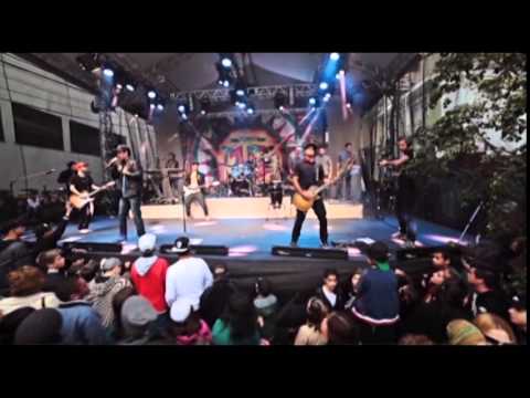 Planta e Raiz - Pique natty dread " DVD 15 anos Ao vivo" Oficial