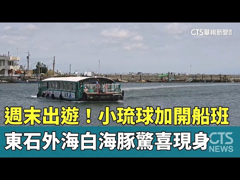 週末出遊！　小琉球加開船班　東石外海白海豚驚喜現身