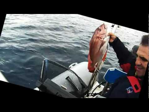 Το ψάρεμα για… κόκκινο ήταν!
