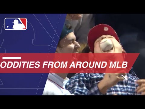 Oddities of the Week: 10/11/18