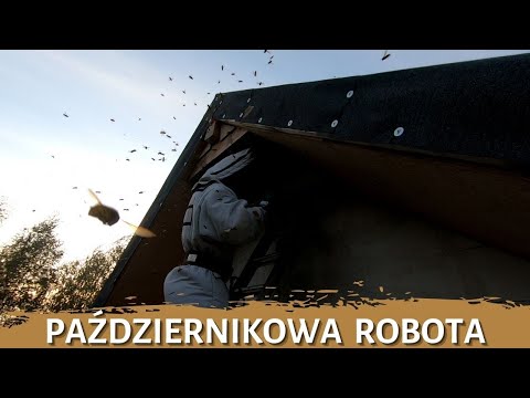 Październikowa robota - usuwanie gniazda - likwidacja gniazda - gniazdo szerszeni - szerszenie