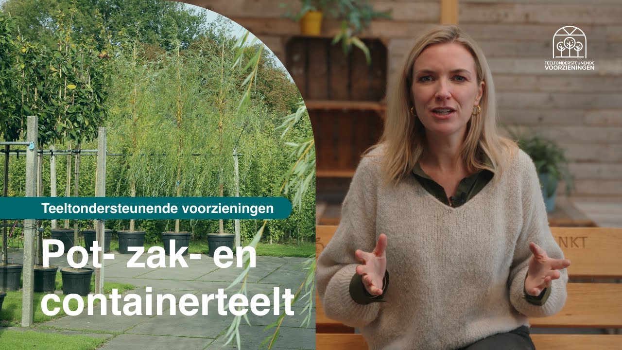 Videostill: planten in potten en containers op een containerveld