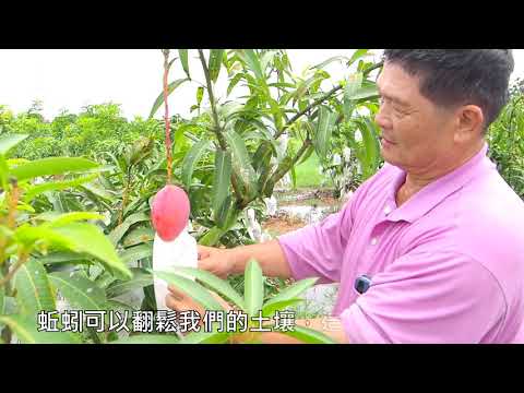 高雄巿沼液沼渣施灌經驗分享篇