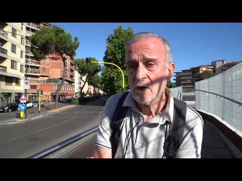 11-07-2022 - Firenze, Viale Redi. Giù le mani e le motoseghe dai Pini domestici! (1)