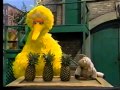 Sesame Street Big Bird Has Trouble Telling The Monkeys Apart