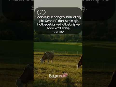 Cennet.. #risale #bediüzzaman #vecize #erguvan