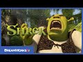 Top 3 Ways To Make Sneezing Fun Shrek Vlogs