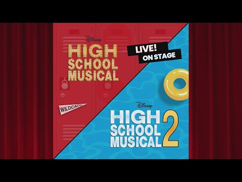 Byrnes High School Rebel Theatre Presents: High School Musical:Double Feature